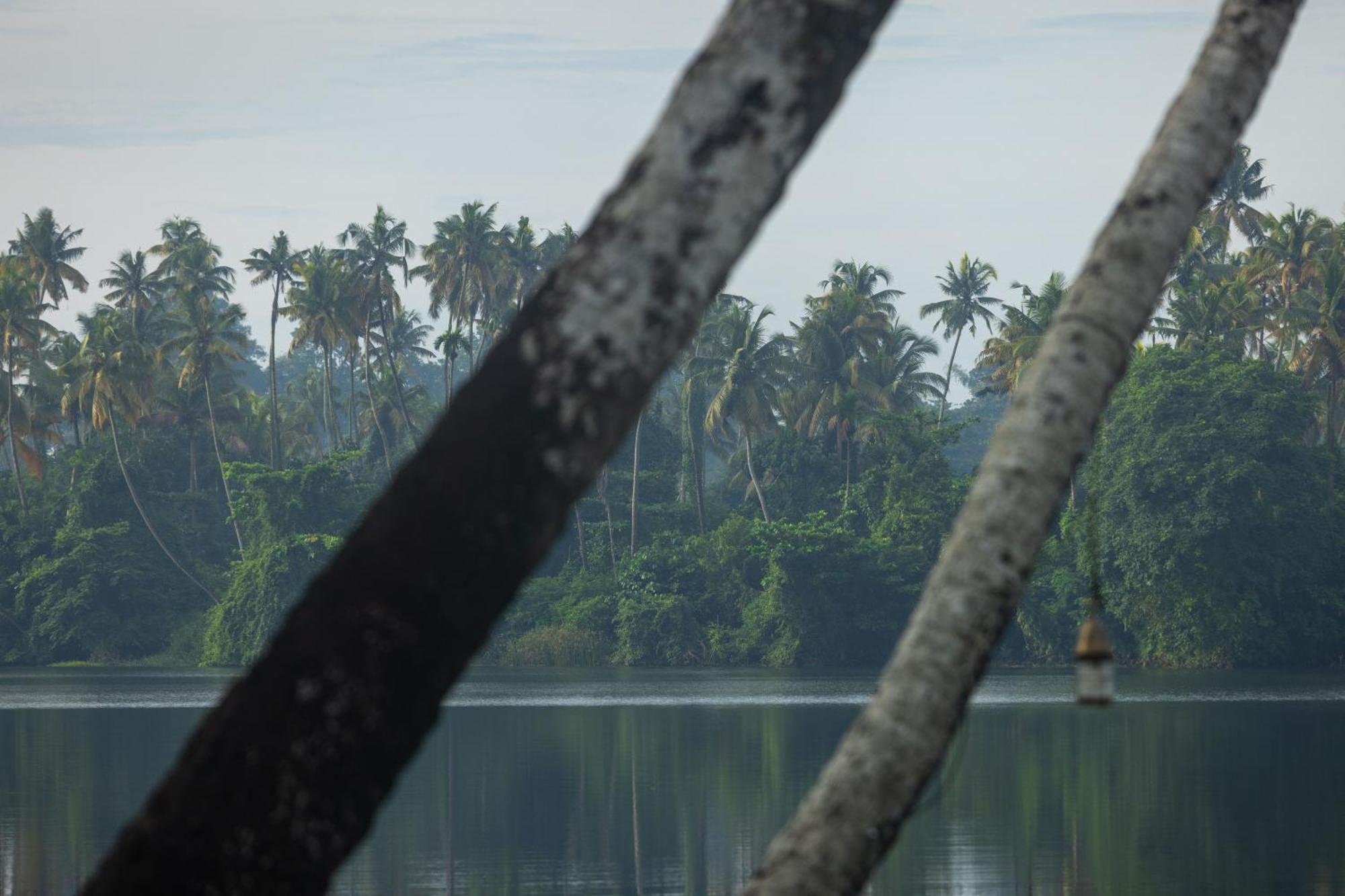 Cranganor History Cafe & Riverside Chateau North Paravur 外观 照片